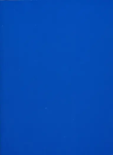 Couverture de l'album Bleu