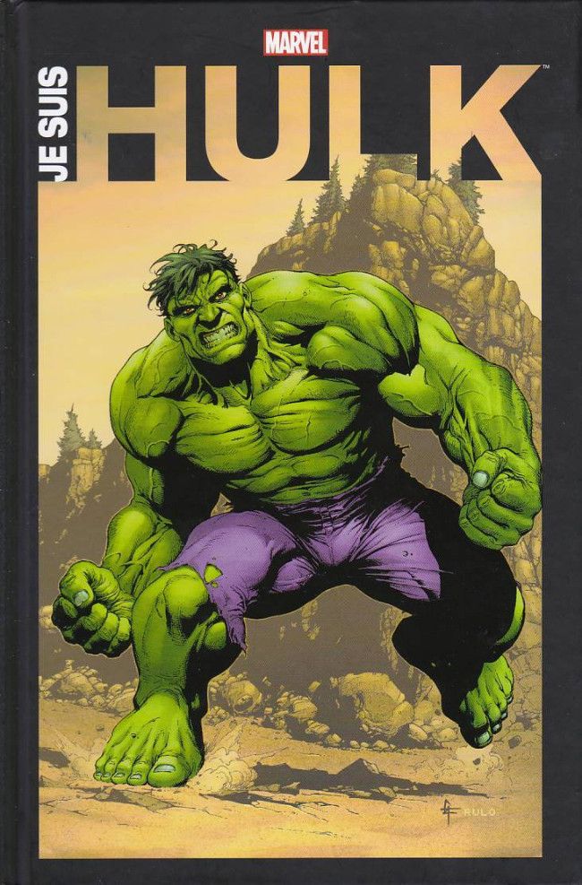 Couverture de l'album Je suis Hulk