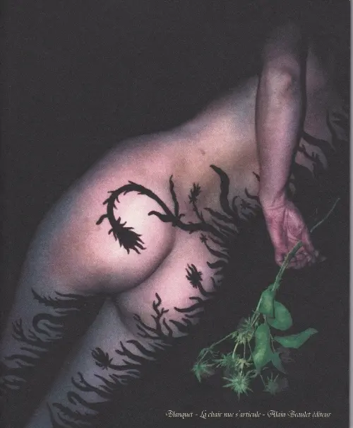 Couverture de l'album La Chair nue s'articule