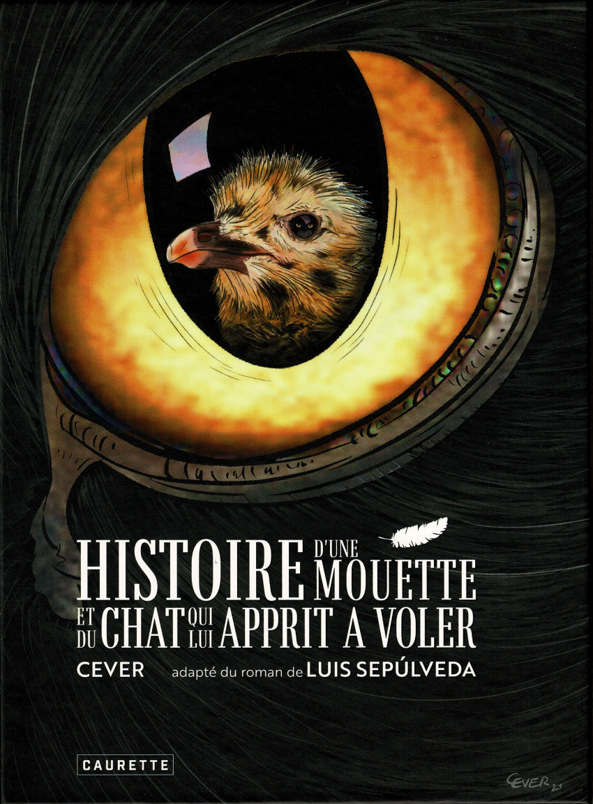 Couverture de l'album Histoire d'une mouette et du chat qui lui apprit à voler