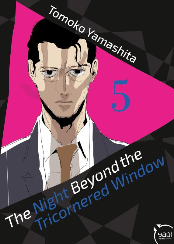 Couverture de l'album The night beyond the tricornered window 5