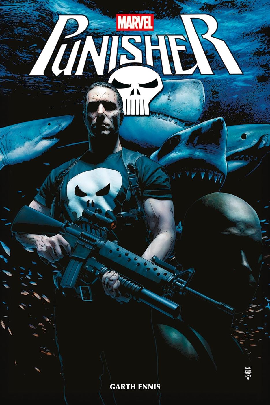 Couverture de l'album The Punisher 3