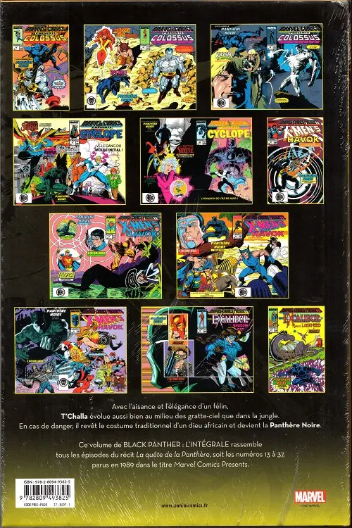 Verso de l'album Black Panther L'intégrale Tome 4 1989