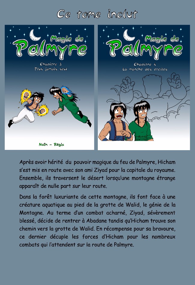 Verso de l'album Magie de Palmyre Tome 2