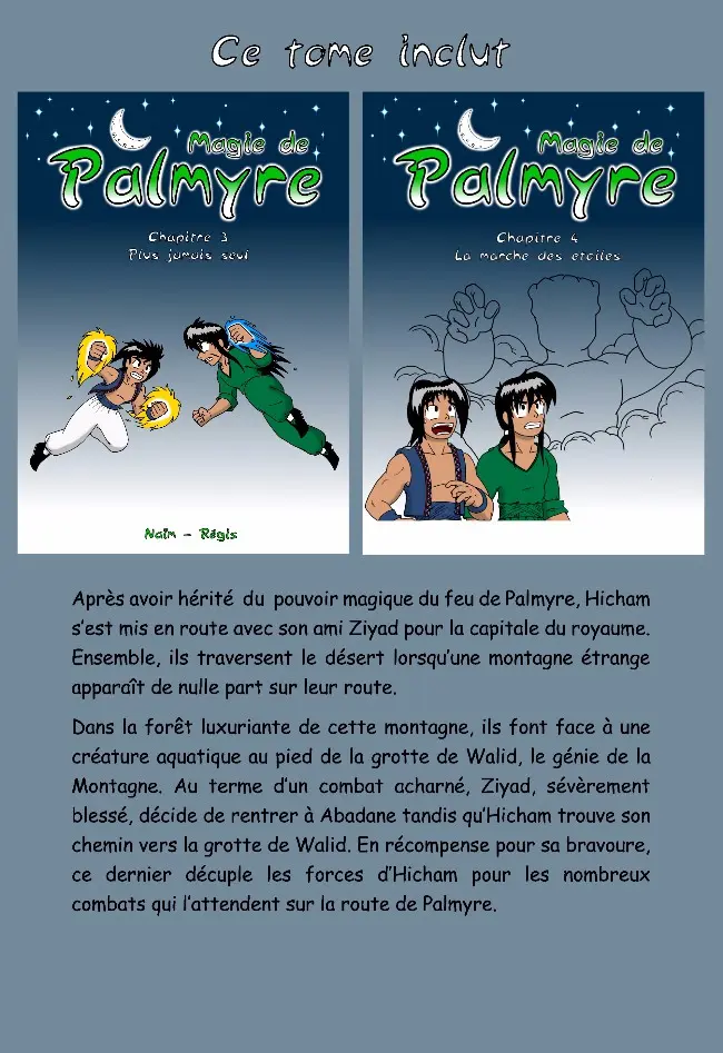 Verso de l'album Magie de Palmyre Tome 2