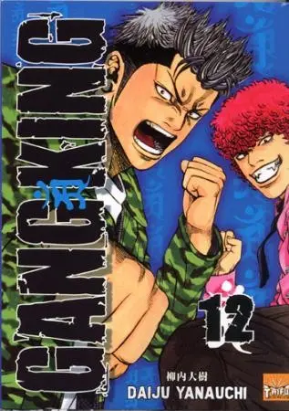 Couverture de l'album Gangking 12