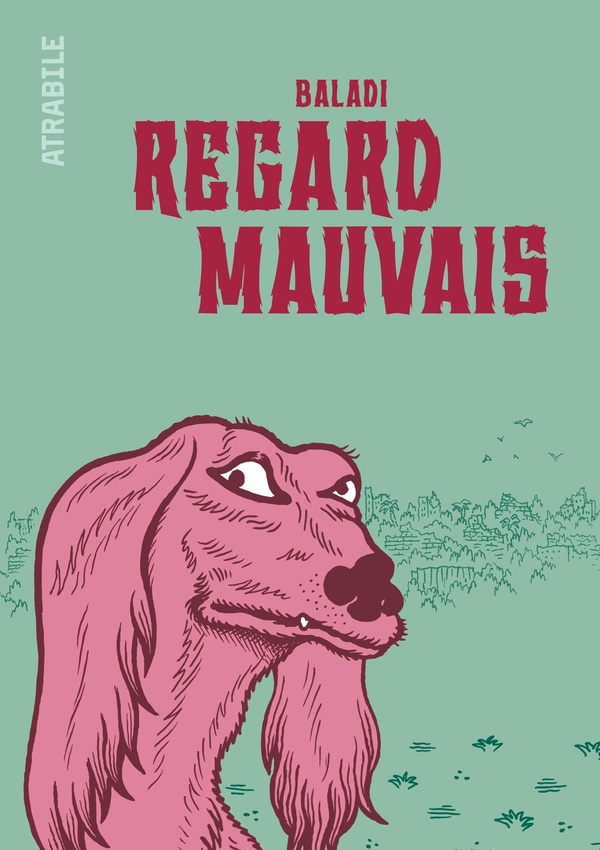 Couverture de l'album Regard Mauvais