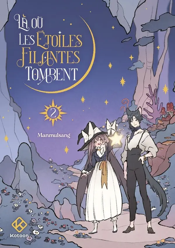 Couverture de l'album Là où les étoiles filantes tombent 2