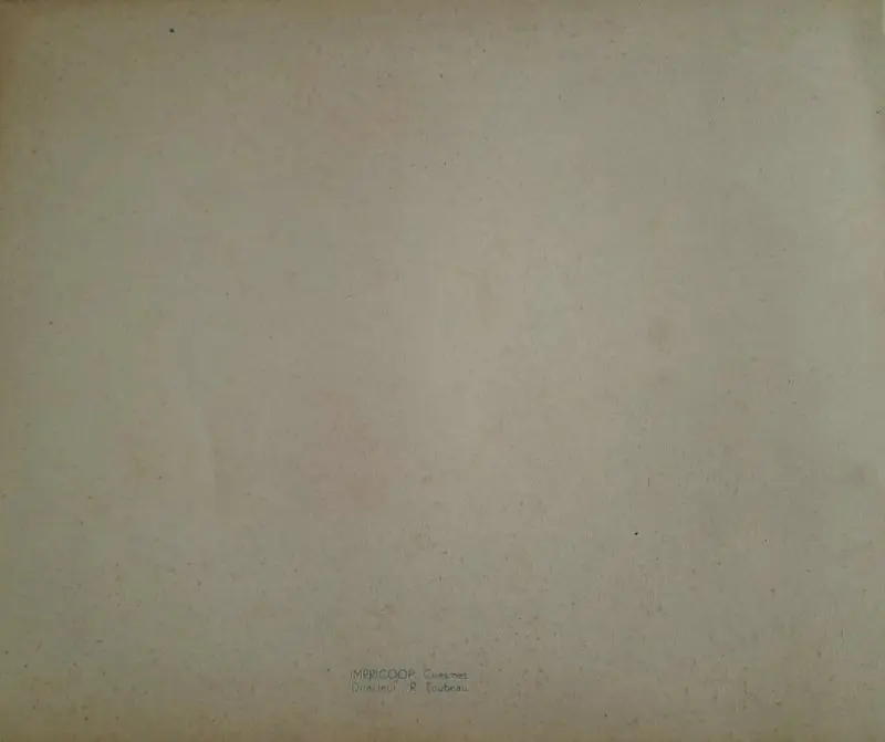 Verso de l'album Frank Tome 1 Prisonnier des écumeurs des mers