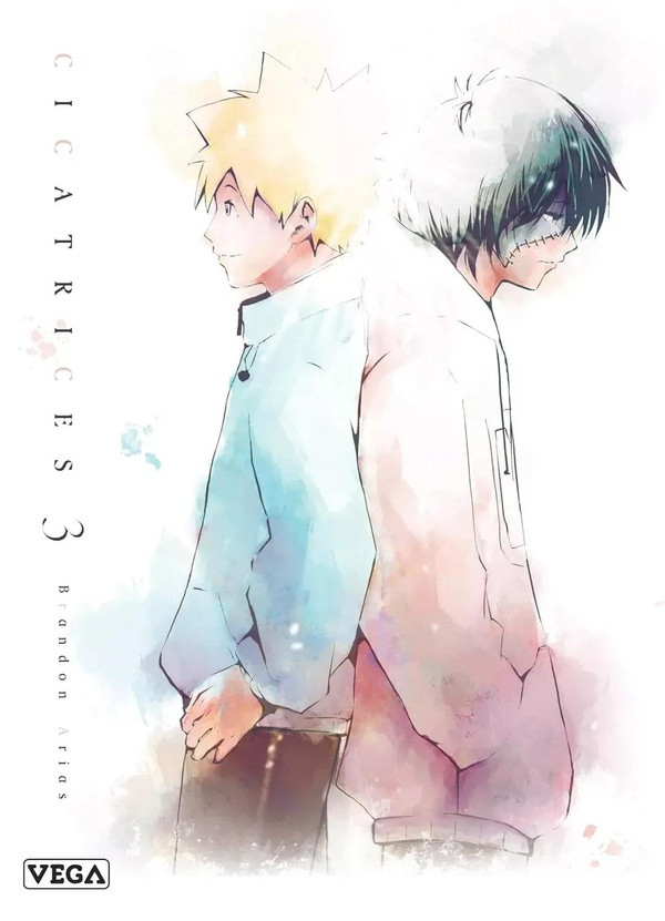 Couverture de l'album Cicatrices 3