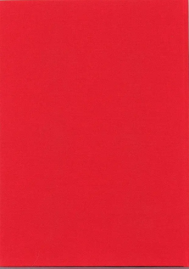 Verso de l'album Janotus