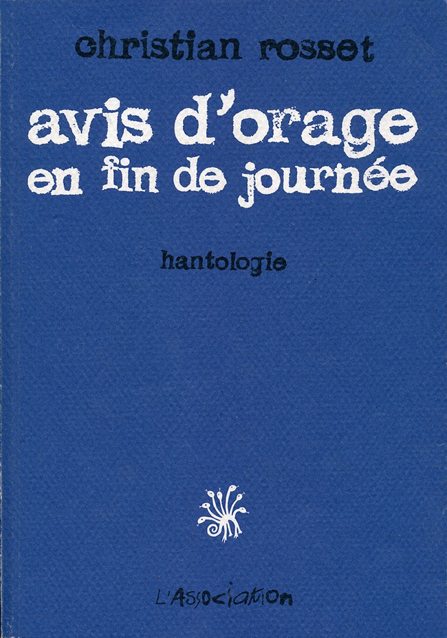 Couverture de l'album Avis d'orage en fin de journée Hantologie