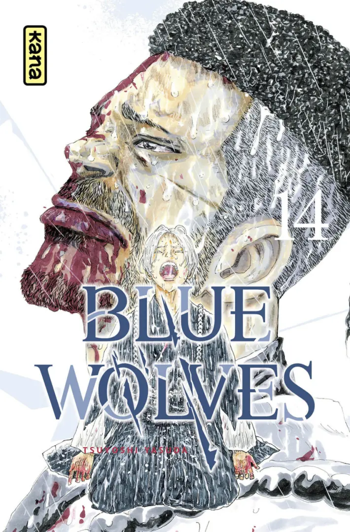 Couverture de l'album Blue Wolves 14