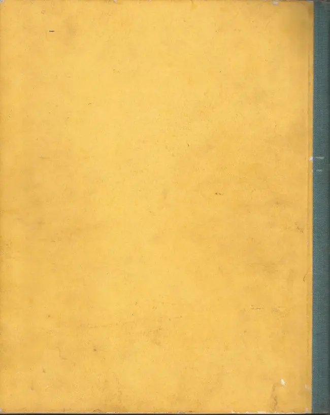 Verso de l'album Félix le chat Tome 7 Félix et Riri