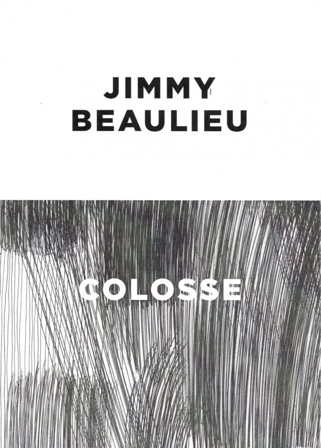 Verso de l'album Piscine à vague
