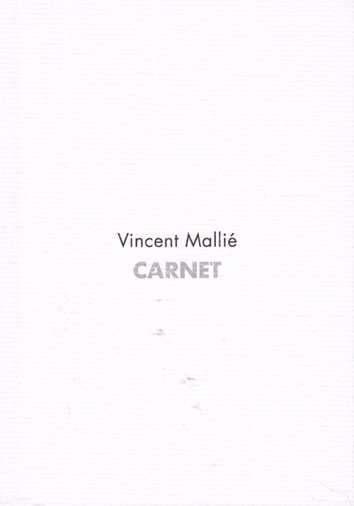 Couverture de l'album Vincent Mallié - Carnet