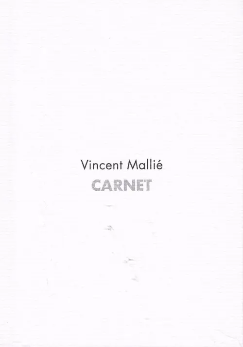 Couverture de l'album Vincent Mallié - Carnet