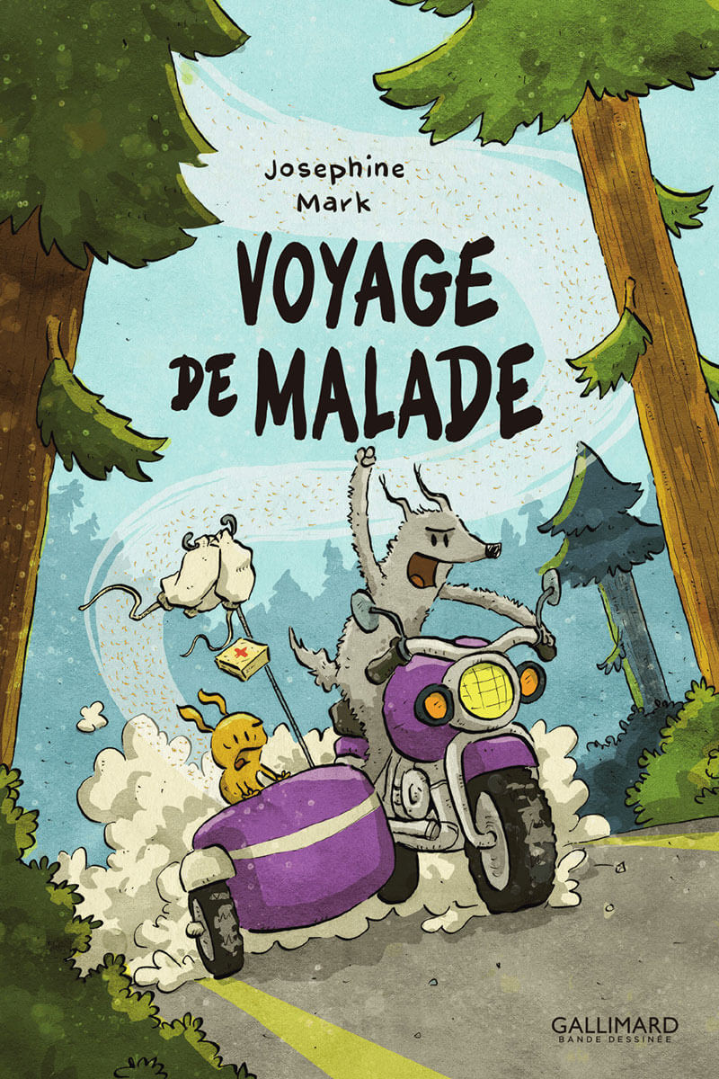 Couverture de l'album Voyage de malade