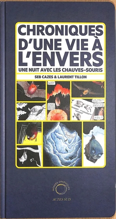 Couverture de l'album Chroniques d'une vie à l'envers Une nuit avec les chauves-souris