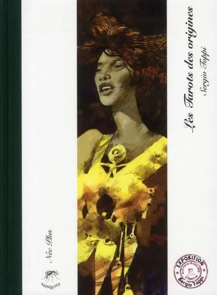 Couverture de l'album Les tarots des origines