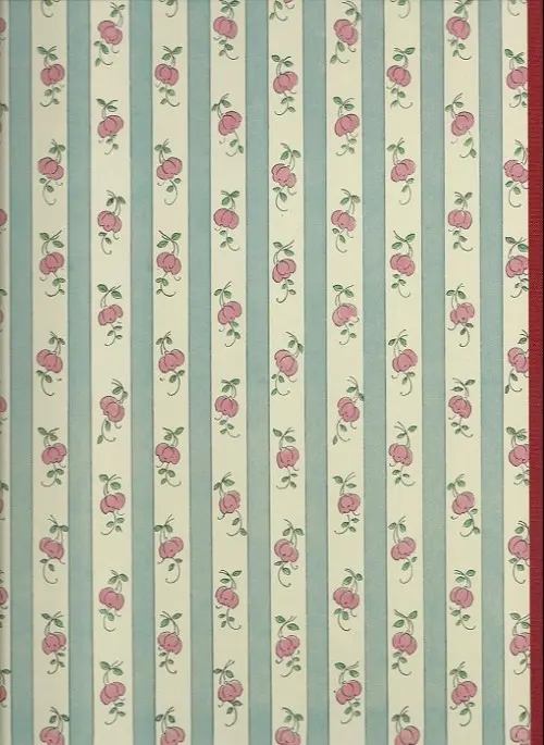 Verso de l'album Bécassine Tome 1 L'Enfance de Bécassine