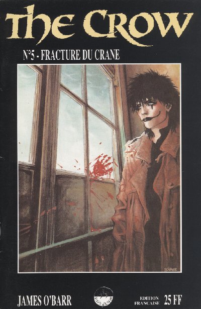 Couverture de l'album The Crow Tome 5 Fracture du crâne