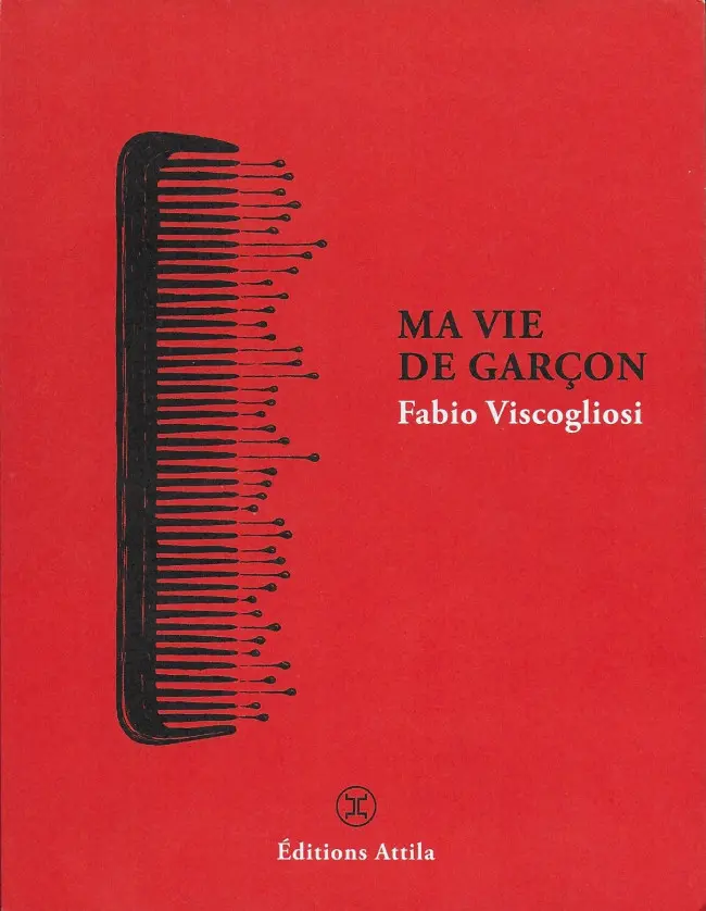 Couverture de l'album Ma vie de garçon