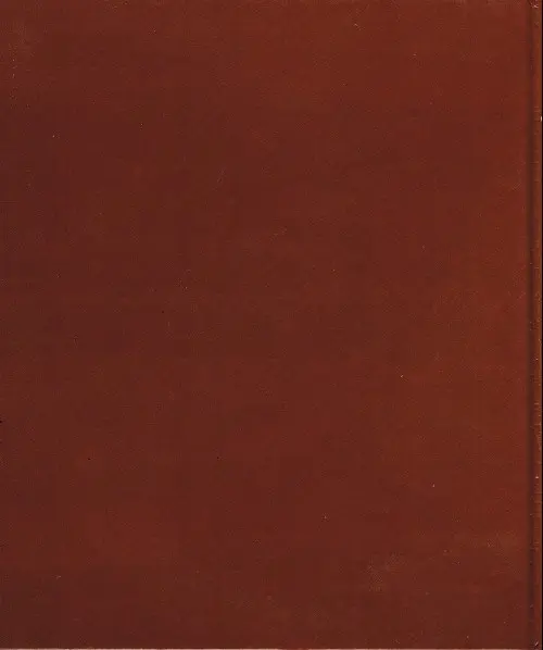 Verso de l'album La Revanche