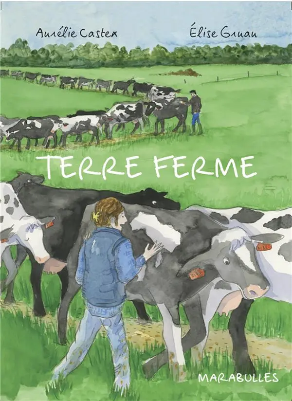 Couverture de l'album Terre ferme