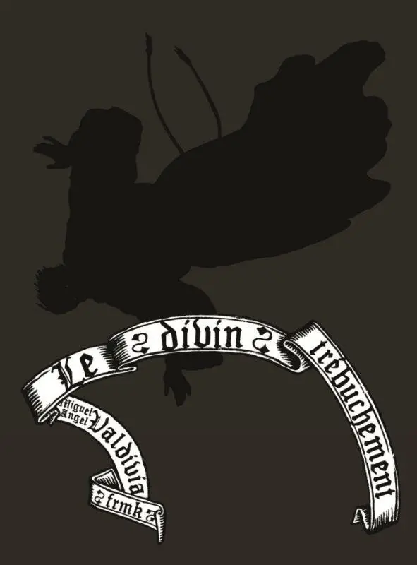 Couverture de l'album Le divin trébuchement