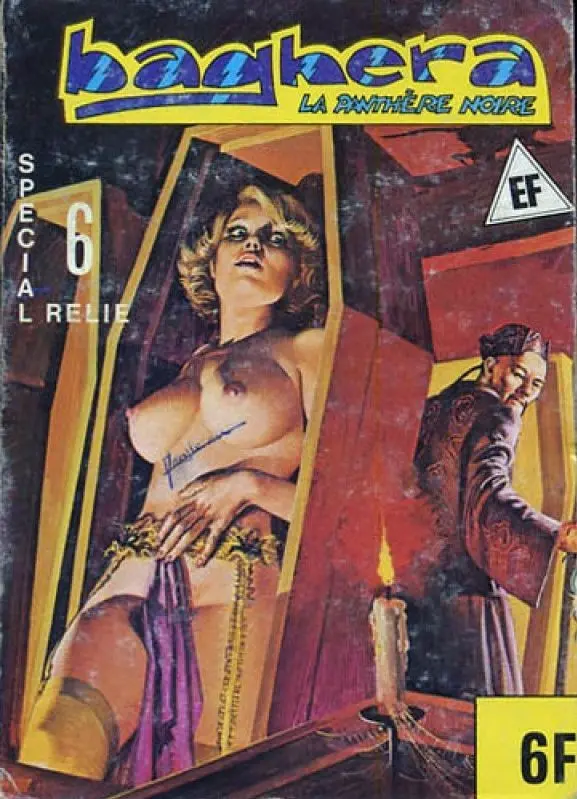 Couverture de l'album Baghera - La Panthère noire Spécial Relié N° 6