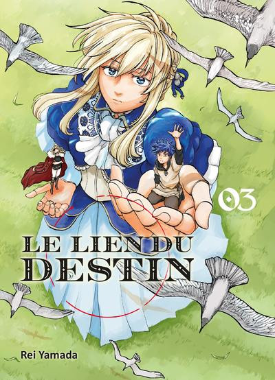 Couverture de l'album Le lien du destin 03