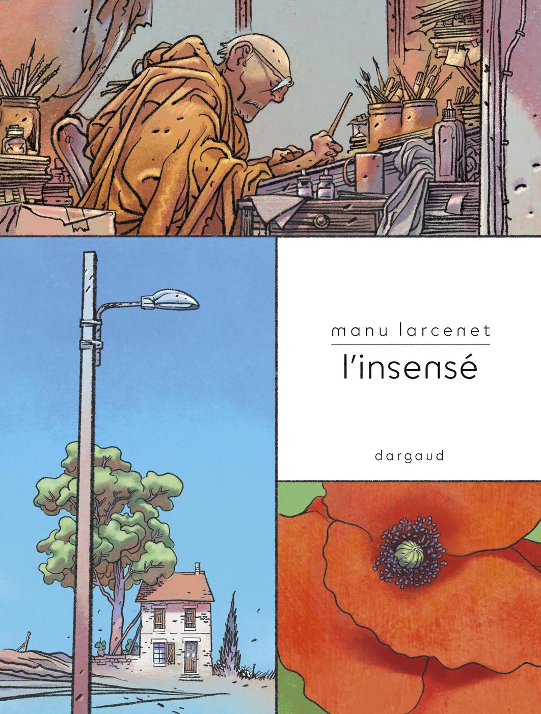 Couverture de l'album L'insensé