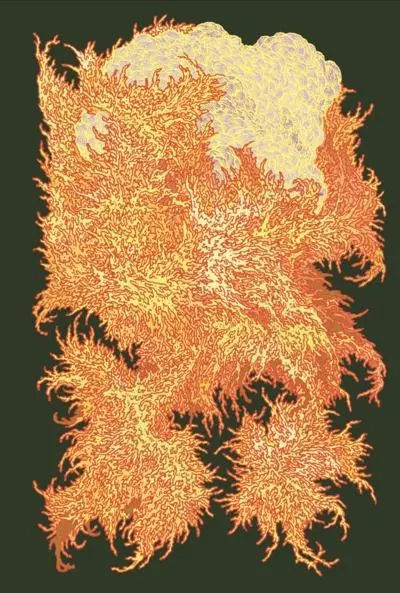 Couverture de l'album Terre rare