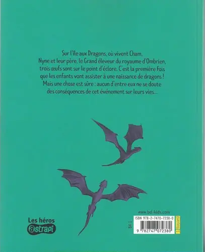 Verso de l'album Les Dragons de Nalsara Tome 1 L'île aux Dragons