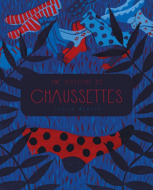 Couverture de l'album Une histoire de chaussettes