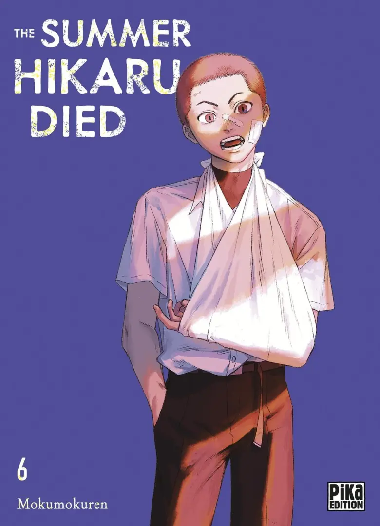Couverture de l'album The summer Hikaru died 6