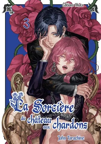 Couverture de l'album La sorcière du château aux chardons 3