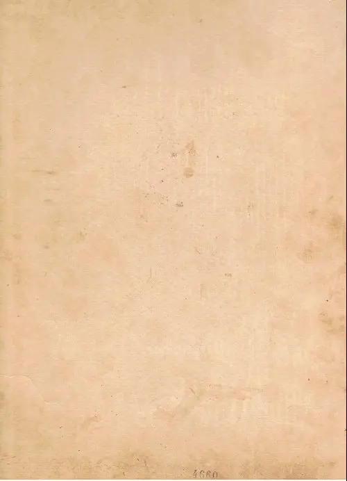 Verso de l'album Les Deux Nigauds