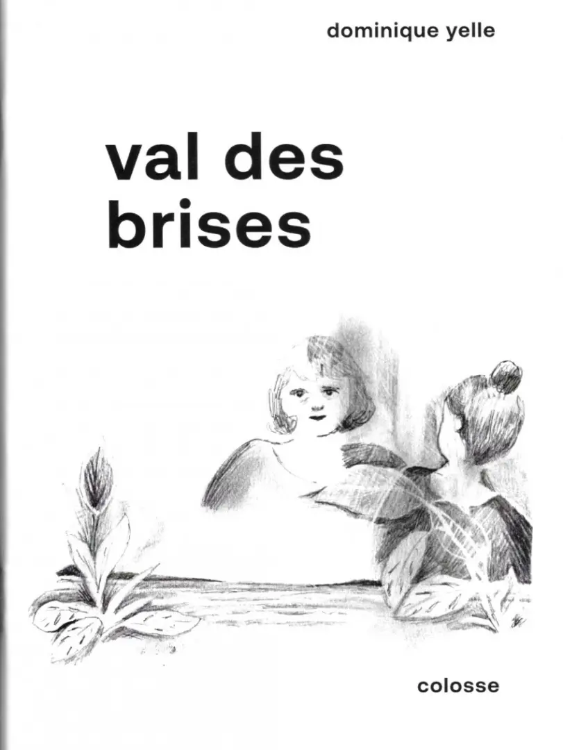 Couverture de l'album Val des brises