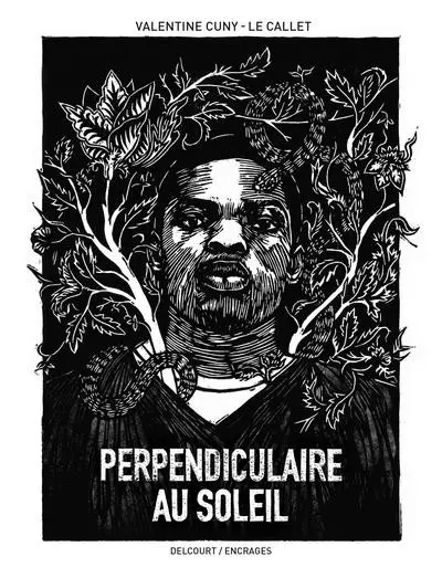 Couverture de l'album Perpendiculaire au soleil