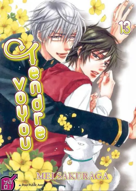 Couverture de l'album Tendre voyou 13
