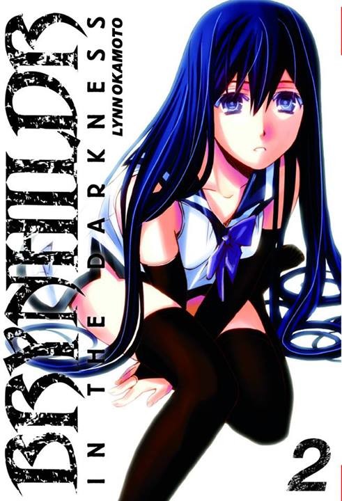 Couverture de l'album Brynhildr in the Darkness 2