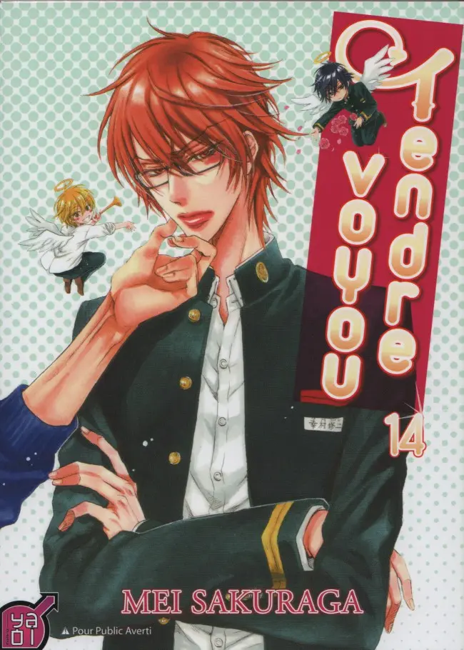 Couverture de l'album Tendre voyou 14
