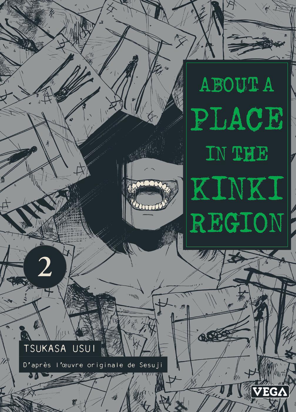 Couverture de l'album About a place in the Kinki region 2