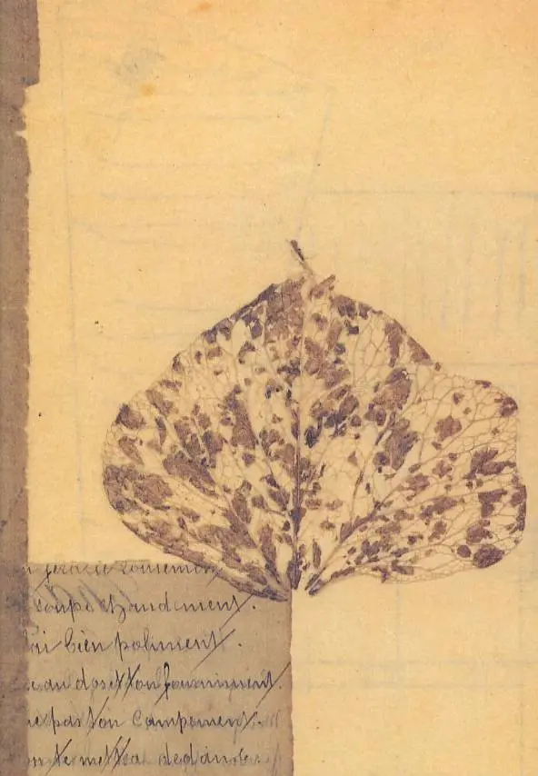Couverture de l'album La Petite Arabe qui aimait la chaise de Van Gogh
