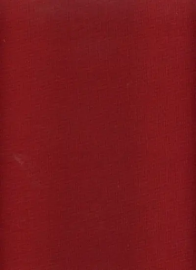 Verso de l'album Les Bidochon Tome 19 Les Bidochon internautes