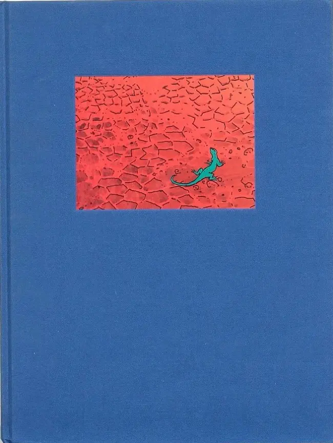 Couverture de l'album Les Magiciens d'eau