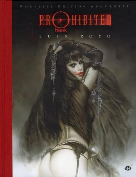 Couverture de l'album Prohibited book