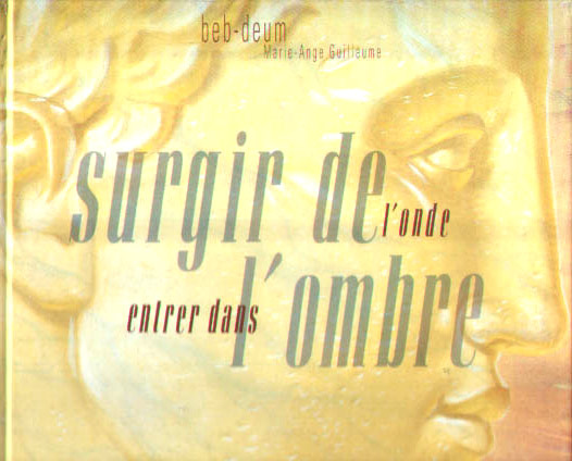 Couverture de l'album Surgir de l'onde, entrer dans l'ombre